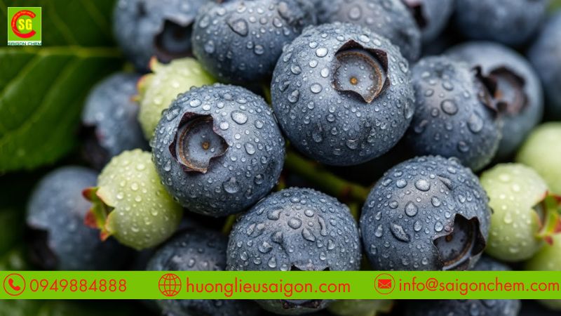 Thêm hương vào giai đoạn phù hợp