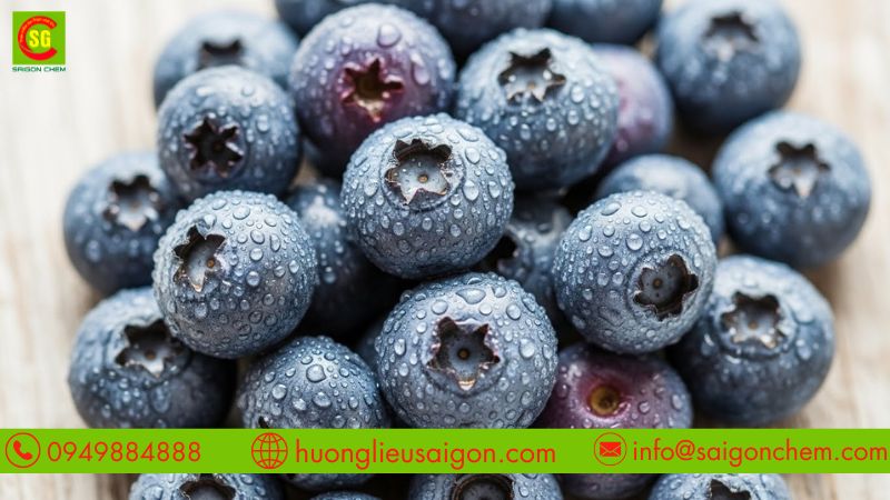 Tạo mùi việt quất chua ngọt tự nhiên