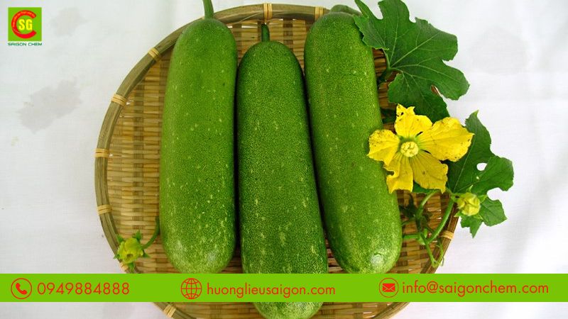 Lựa chọn loại hương b&iacute; đao ph&ugrave; hợp cho từng ứng dụng